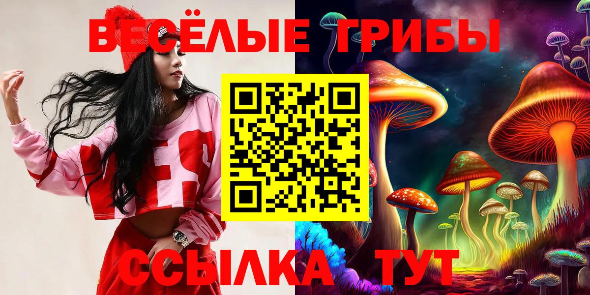 Галлюциногенные грибы MAGIC MUSHROOMS Куйбышев