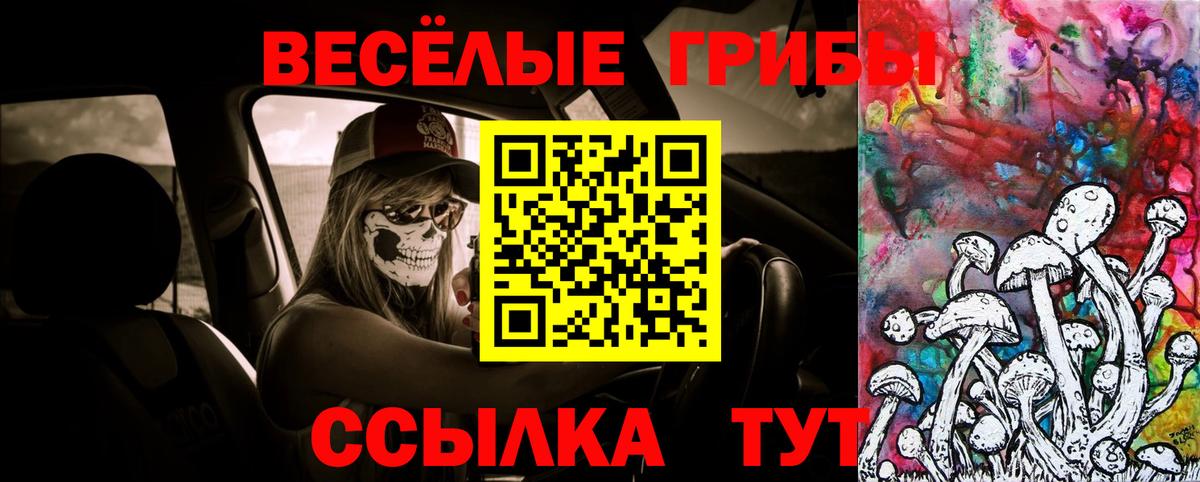 Куйбышев  Псилоцибиновые грибы ЛСД  Вход с VPN 